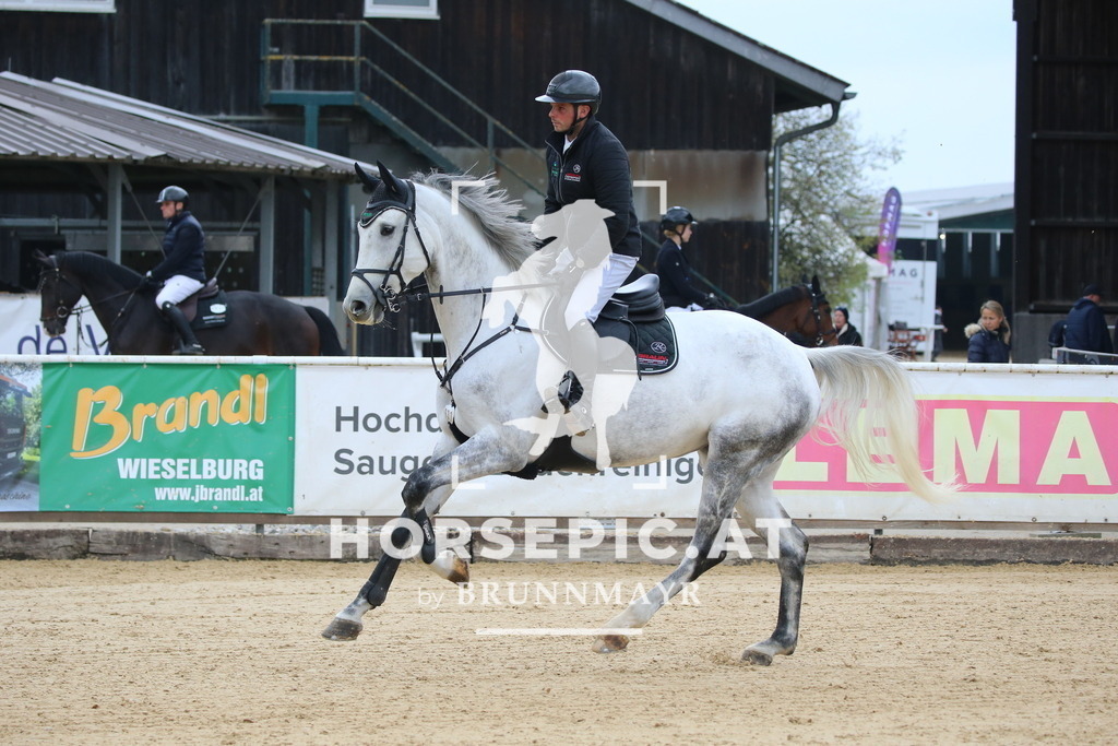 DL2Q2682 | Willkommen bei Brunnmayr - Design & Fotografie – Ihrem Spezialisten für Reitturniere und Pferdeveranstaltungen in Oberösterreich, Salzburg und Bayern! Seit über 17 Jahren sind wir leidenschaftlich dabei.