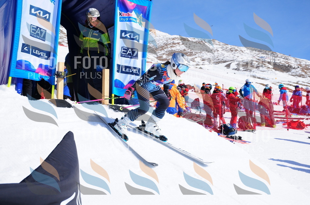 DSC_4151 | holidayphoto