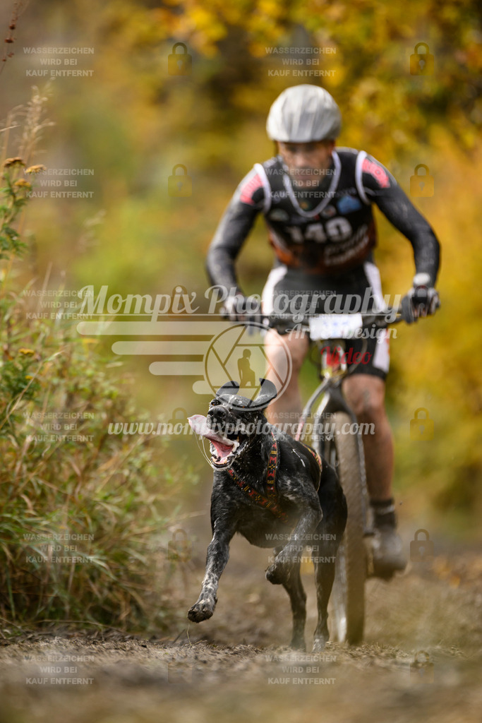 MompixPhotography_ICF_WC_2024_SA_Bike_-181 | PayLife