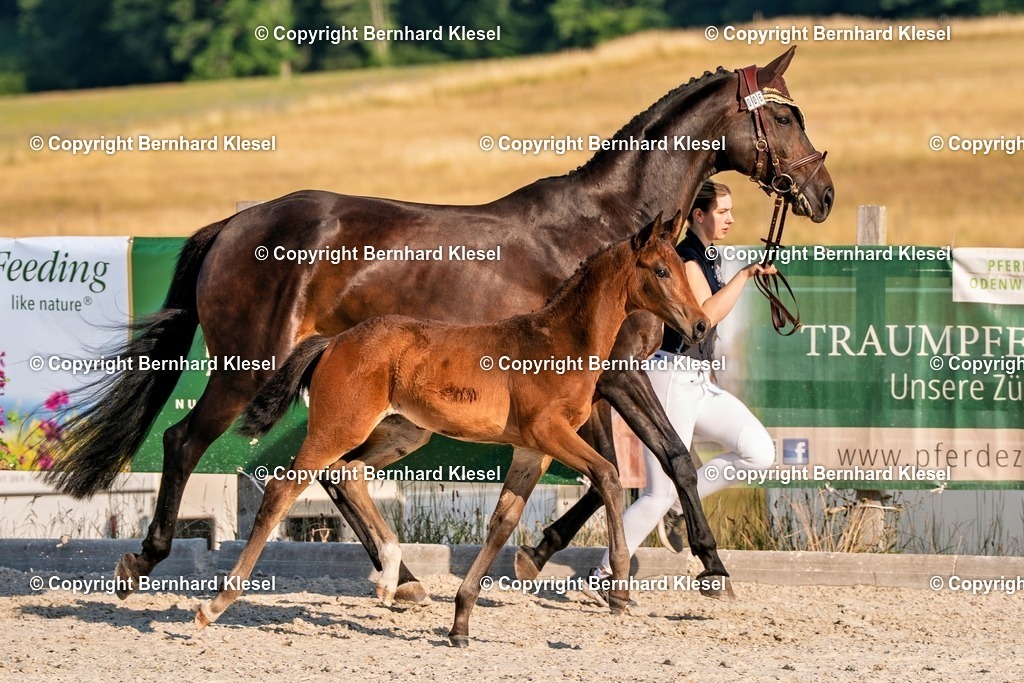 2A905880 | foto-team-bernhard - Realisiert mit Pictrs.com