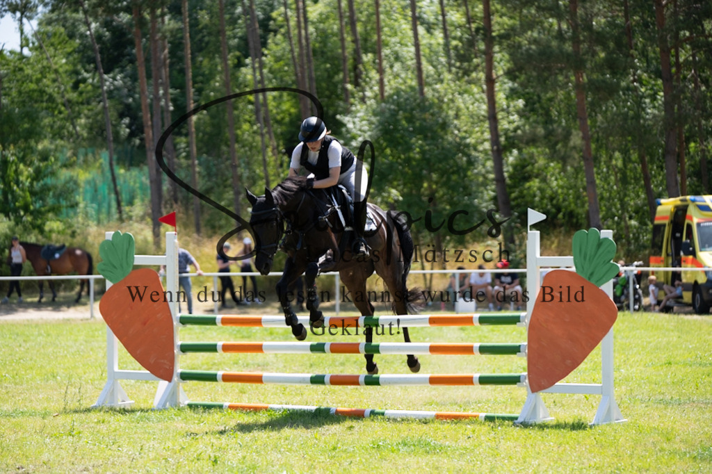 A7V05989 | Pferdefotograf