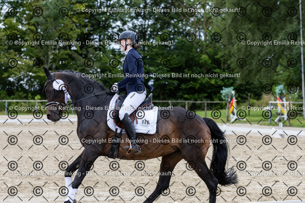 CL5A8510 | Emilia Reinking Fotografie - Realisiert mit Pictrs.com