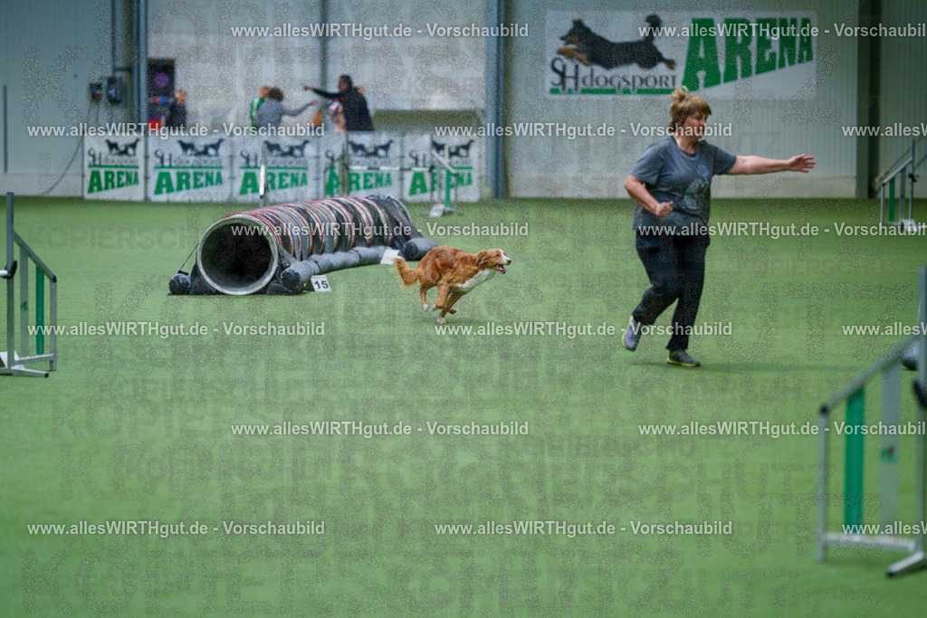 @allesWIRTHgut_Tierfotografie - www.allesWIRTHgut.de - 2604250946-7R508903 | Professionelle Tierfotografie in Mönchengladbach von Daniel Wirth (allesWIRTHgut). Liebevolle & natürliche Bilder von Hunden & Katzen für unvergessliche Erinnerungen.