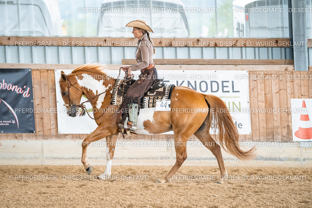 DSC00173 | Pferdegrafie