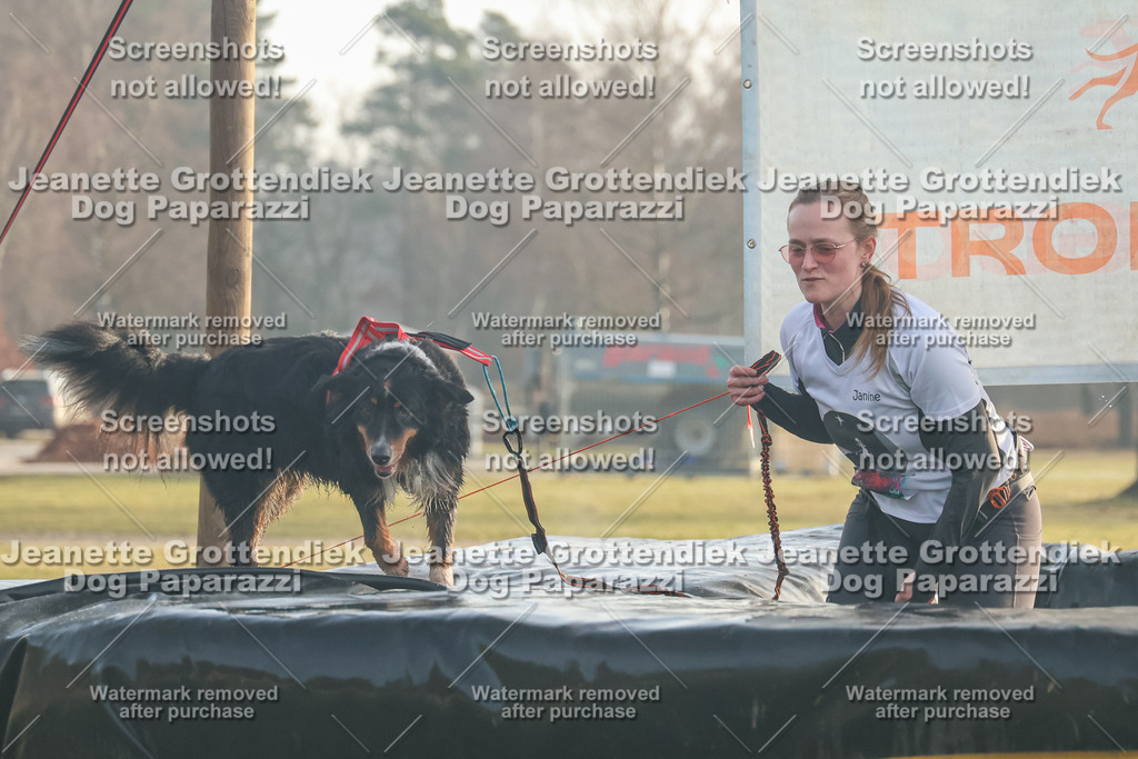 Dog Paparazzi - SD North Sa 830-900-2 | Dog Paparazzi Jeanette Grottendiek Fotografie & Videografie - Realisiert mit Pictrs.com