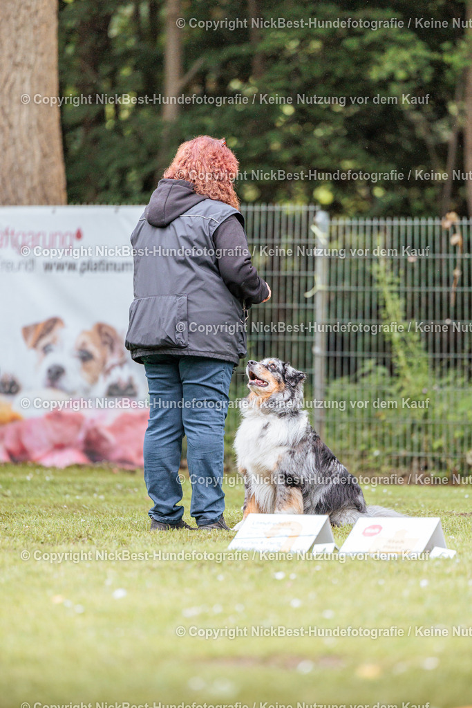 RO-Blumenthal-2026-Nickbest-Hundefotografie-3551 | Dein Hund! Dein Moment! Deine Erinnerungen! Hundefotografie in Bremen Blumenthal. Ich fange die besonderen Momente deines Vierbeiners ein – ob Indoor mit Blitzanlage oder in der freien Natur. Sicher dir dein Moment und dein Termin für eure Erinnerungen.