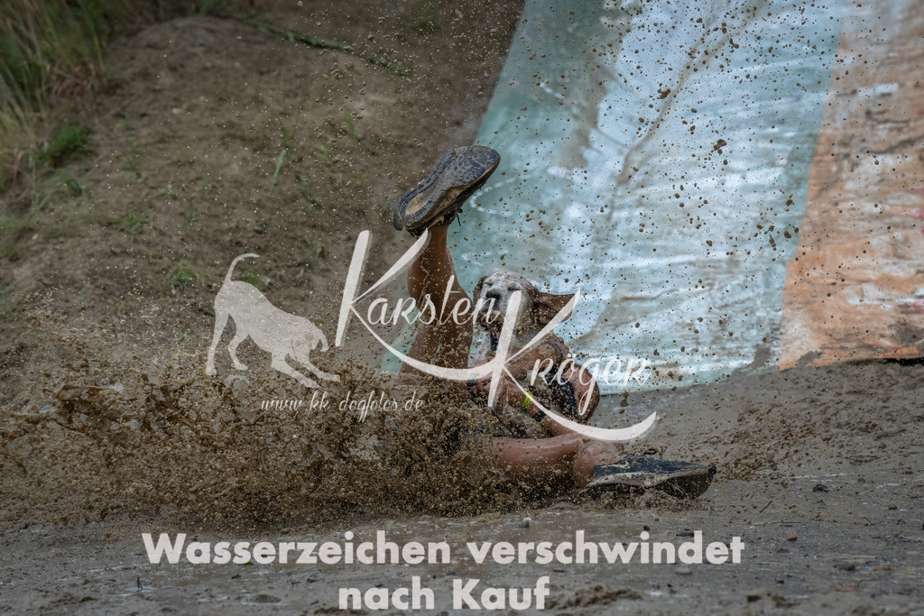1614_ZZ90494-Bearbeitet | kk-dogfotos