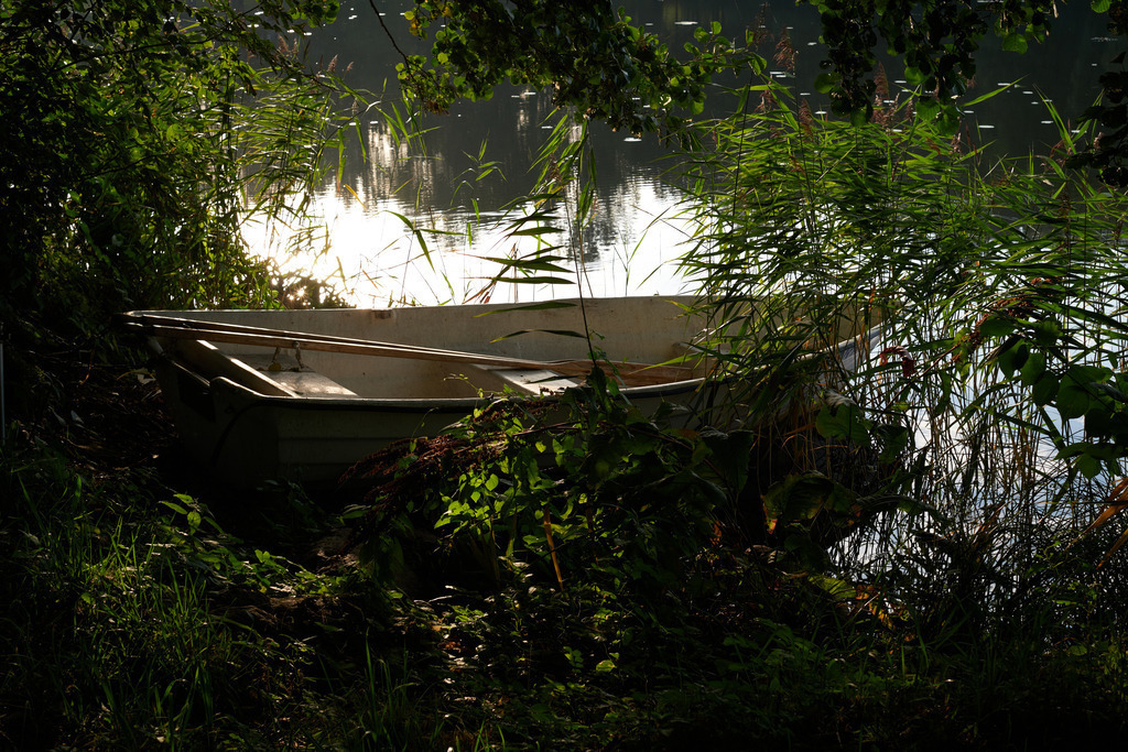 Impressionen am Puhajarve See | Otepää , Estland - August 23, 2022: Ruderboot im Schilf liegend. - Realisiert mit Pictrs.com
