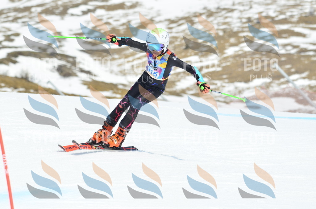 _ELE2379 | holidayphoto