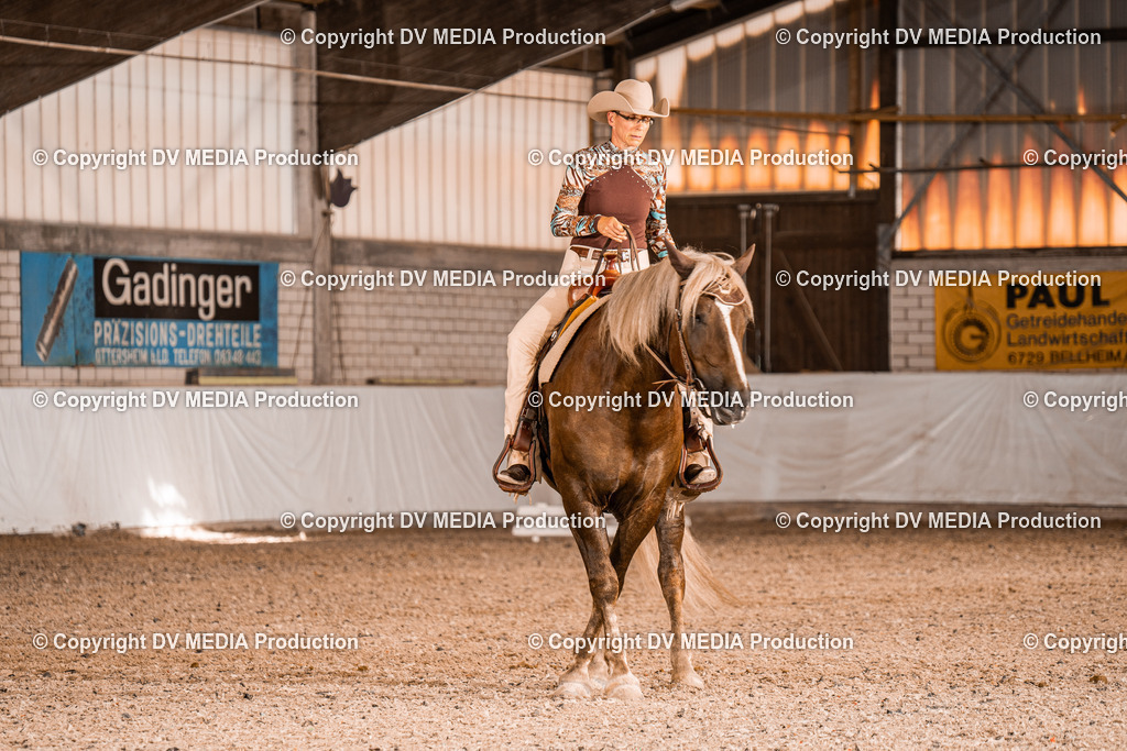 ZH100073 | dv-media-shop - Realisiert mit Pictrs.com