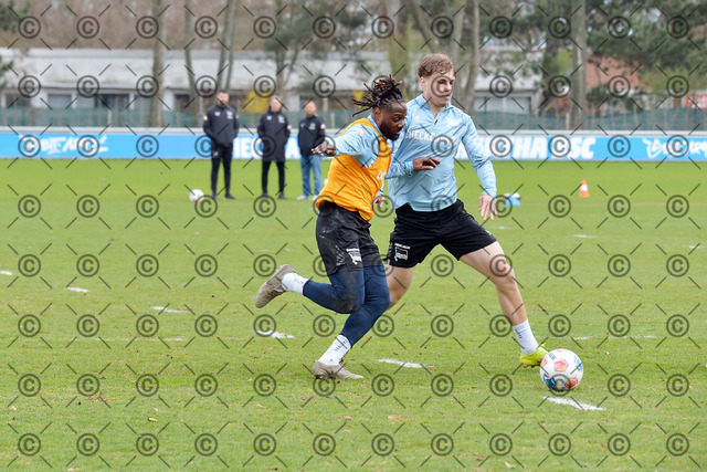 RGE_8673b | Hertha BSC, 2.Bundesliga, Herren, Training, Saison 2025/26, von li.   Deyovaisio Zeefuik ( Hertha BSC ), Niklas Hildebrandt ( Hertha BSC ),  Mittwoch 25.03. 2026,   Fotograf:   Ralf Gebhardt - Realisiert mit Pictrs.com