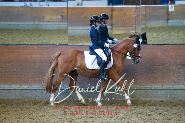 DKP44250 | Turniersportfotografie; Pferdefotografie; Dressurfotografie