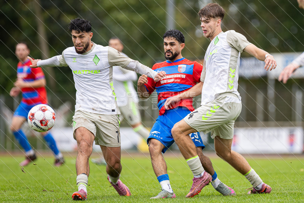 20250921_Picselweb-Fotografie_Meta_1R3_1609 | SV Drochtersen Assel - Werder Bremen II 3:2 - Realisiert mit Pictrs.com