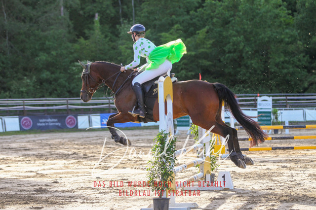 DKP45207 | Turnierfotos kaufen im Webshop von Daniel Kuhl Photography – entdecke professionelle Reitsportfotos aus Turnieren & Events. Hochwertige Turnierbilder online bestellen & sichern. Jetzt Fotos von Reitsportturnieren kaufen!