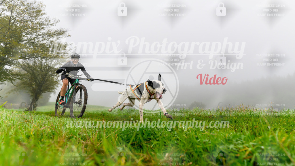 MompixPhotography_20TSB_E5_Bike-22 | PayLife