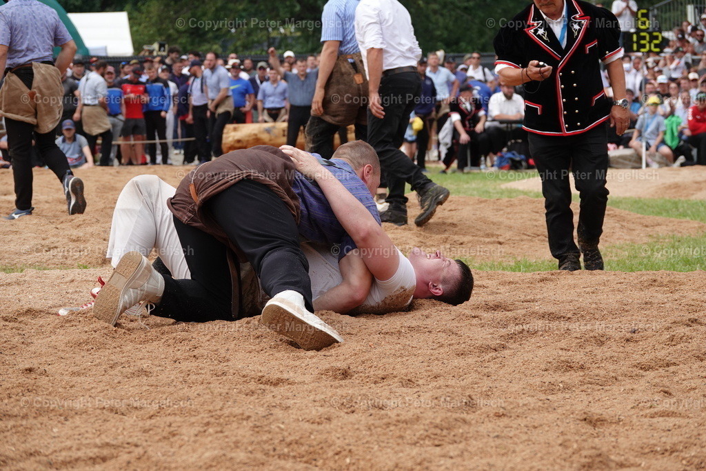 DSC01246 | Schwingen - Realisiert mit Pictrs.com