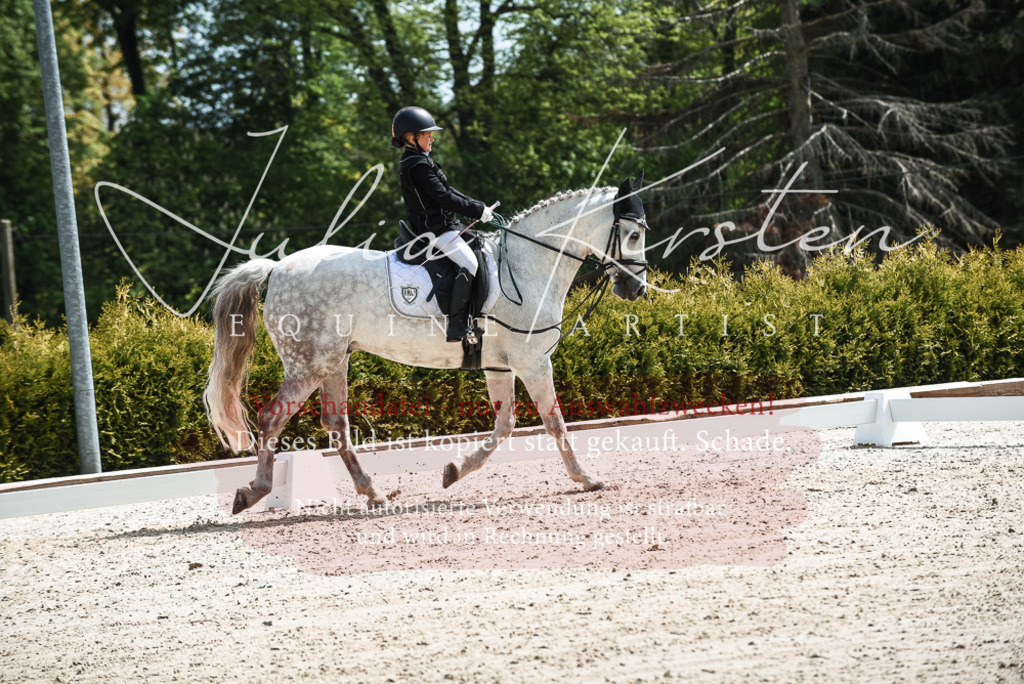 20230518_JK-Röhrsdorf-11-0449 | Pferde- und Turnierfotografie in Westsachsen. Pferdeportraits, Auftragszeichnungen und intuitive Kunst.