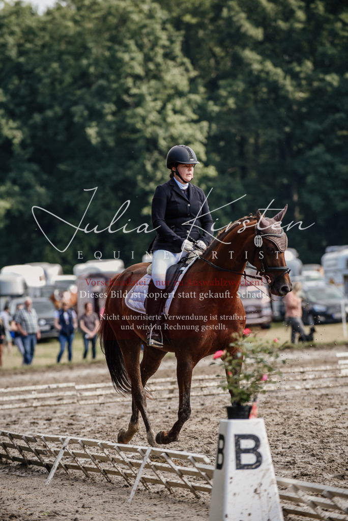 DSC_9302 | Pferde- und Turnierfotografie in Westsachsen. Pferdeportraits, Auftragszeichnungen und intuitive Kunst.