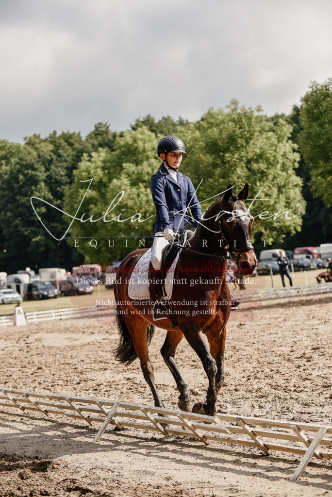 DSC_9181 | Pferde- und Turnierfotografie in Westsachsen. Pferdeportraits, Auftragszeichnungen und intuitive Kunst.