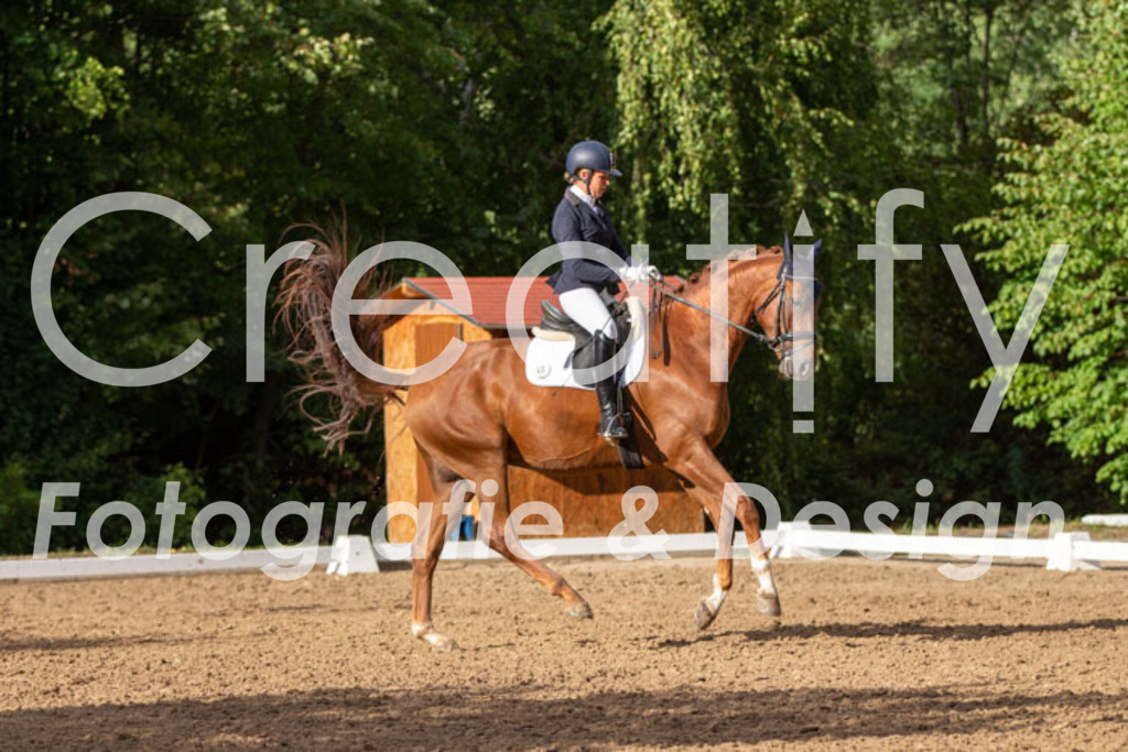 IMG_4753 | Creatify Fotografie