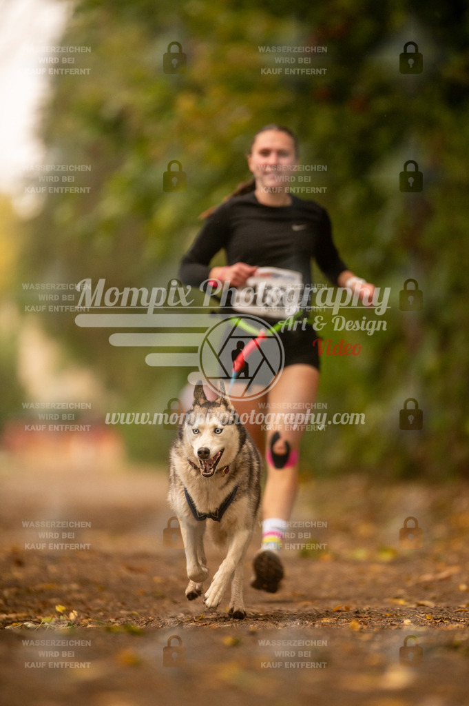 CDLBDB_14_10_2023_Samedi-264 | PayLife