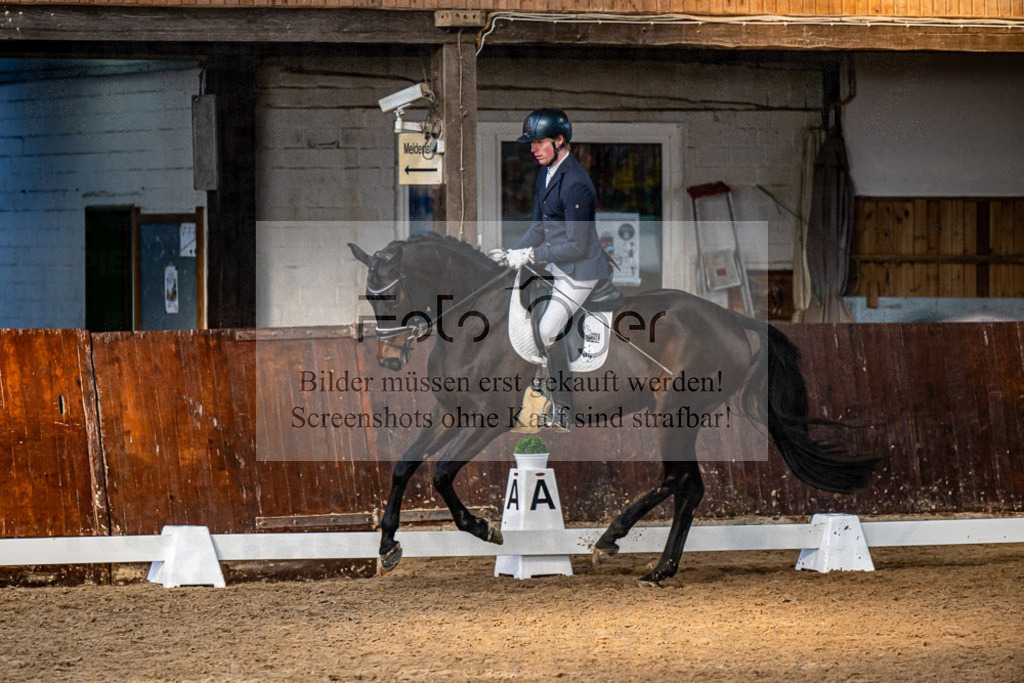20240308-DOS_4499 | Entdecke hochwertige Reitturnierfotos von Foto Oger. Professionell, emotional und authentisch – jetzt Lieblingsmomente im Shop bestellen.Deutschlandweite Turnierfotografie. - Realisiert mit Pictrs.com