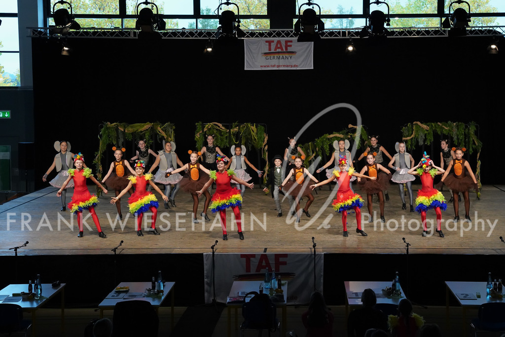 steppdm22_2919 | FRANK WIESEHAHN MEDIA - Realisiert mit Pictrs.com