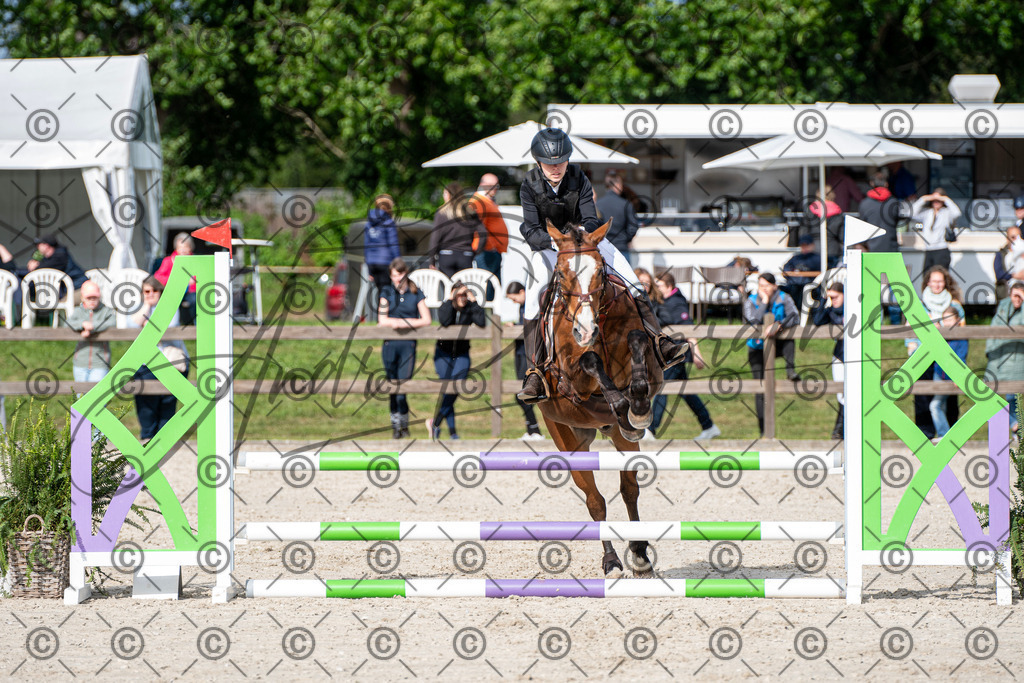 KPT_6665 | andre_photographic