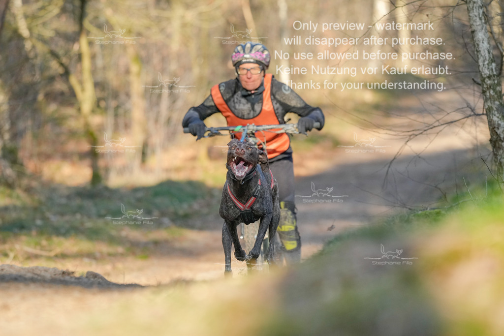 Sa_Scooter-103 | stephaniefillaphotographie - Realisiert mit Pictrs.com