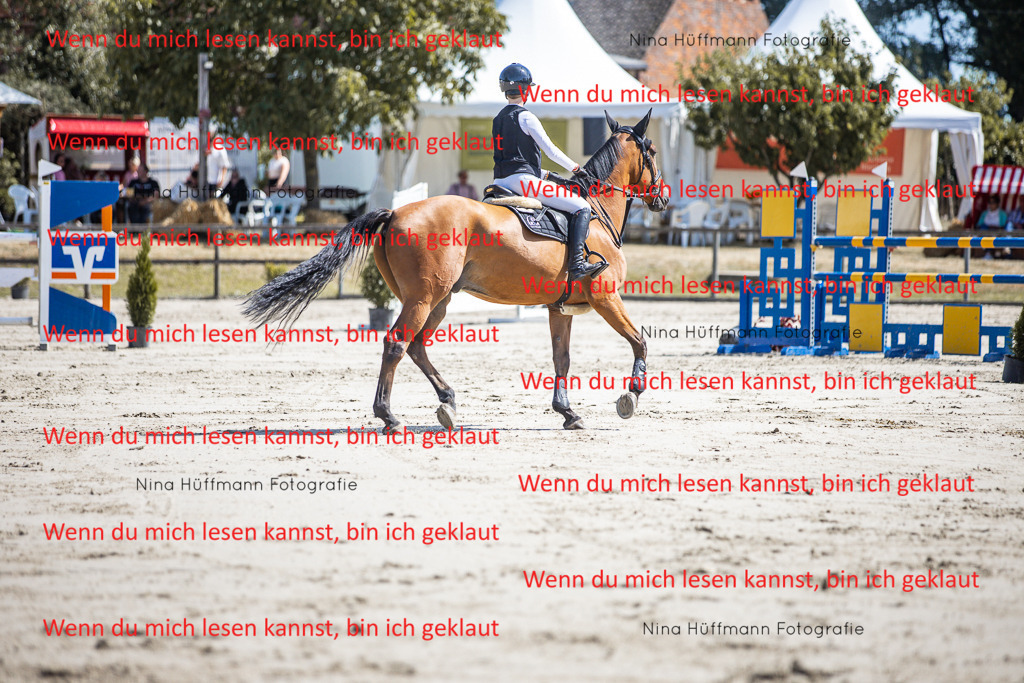 BK1A6624 | Turnierbilder Turnierfotos Nina Hüffmann Turnierfotografie Pferdefotografie Tierzeichnung Haustierzeichnung Pferdezeichnung Hundezeichnung Videograf  - Realisiert mit Pictrs.com