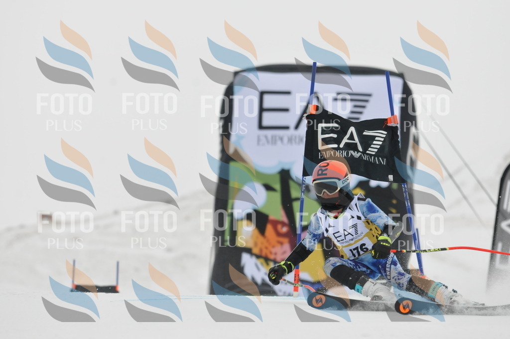 DSC_8628 | holidayphoto