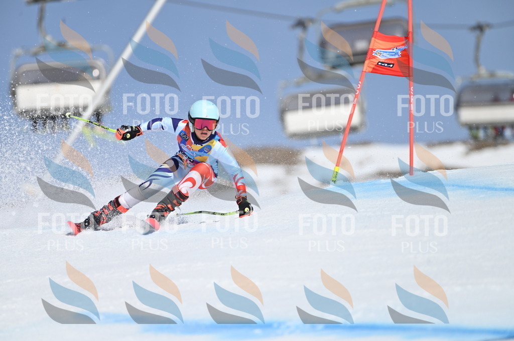 BGV_9783 | holidayphoto