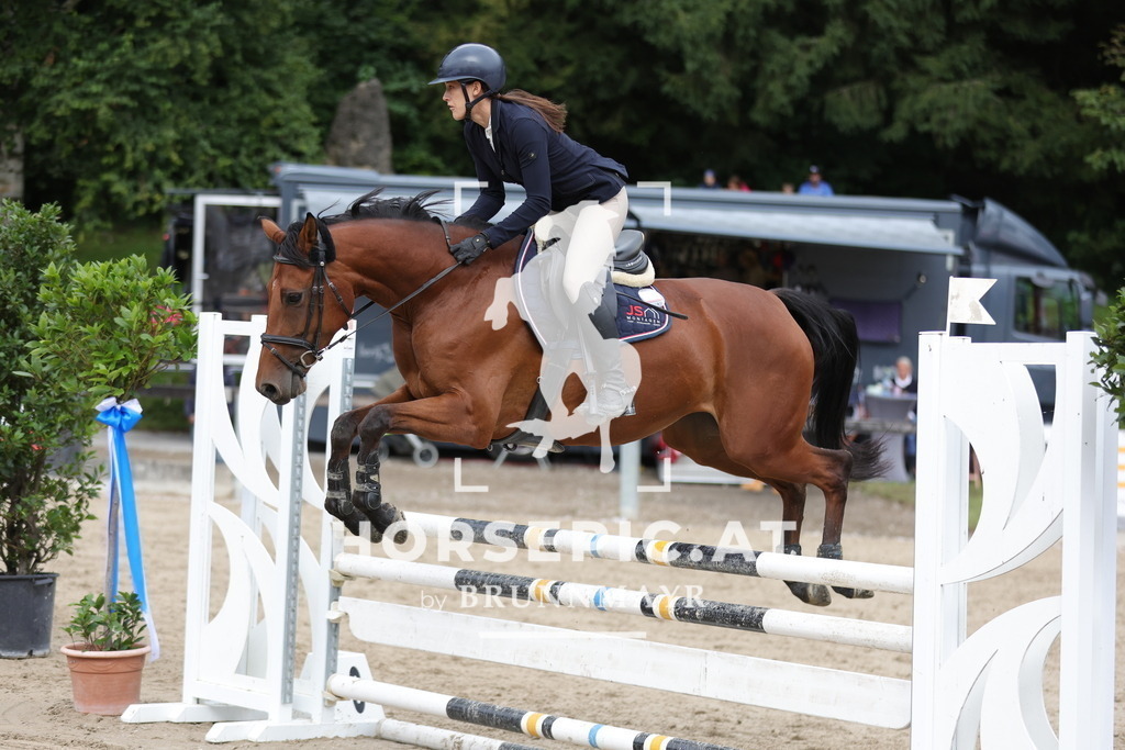 0P6A2516 | Willkommen bei Brunnmayr - Design & Fotografie – Ihrem Spezialisten für Reitturniere und Pferdeveranstaltungen in Oberösterreich, Salzburg und Bayern! Seit über 17 Jahren sind wir leidenschaftlich dabei.