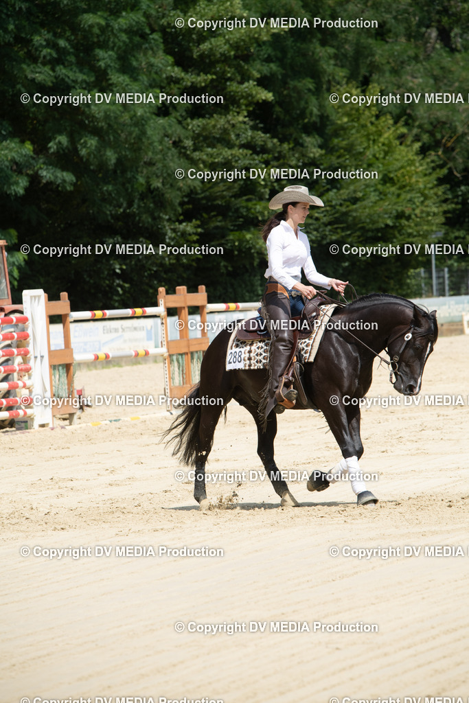 ZS3_9993 | dv-media-shop - Realisiert mit Pictrs.com