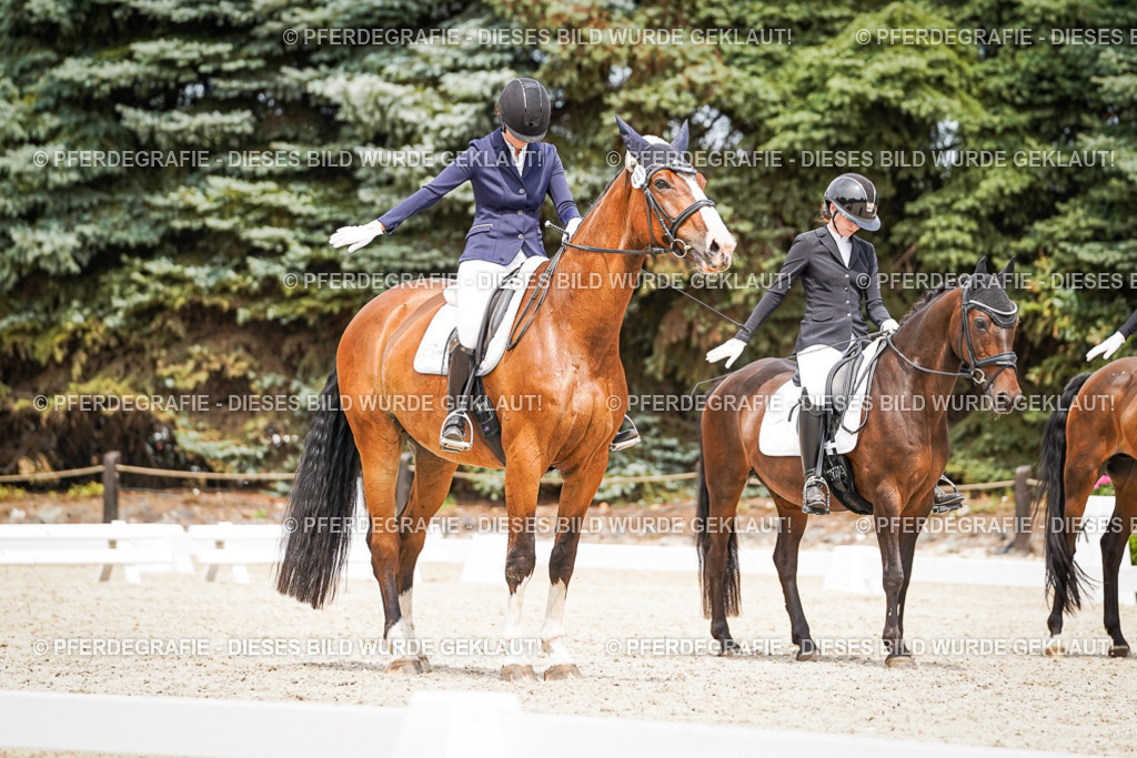 DSC04052 | Pferdegrafie