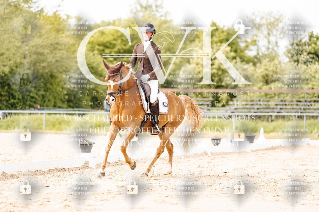 CK901411 | Turnierfotografie Pferdefotografie Trier Rheinland-Pfalz Pferdesport Reitsport Tierfotografie Sportfotografie Pferdevideo Pferdevideografie Equestrianvideography equestrianphotography  - Realisiert mit Pictrs.com
