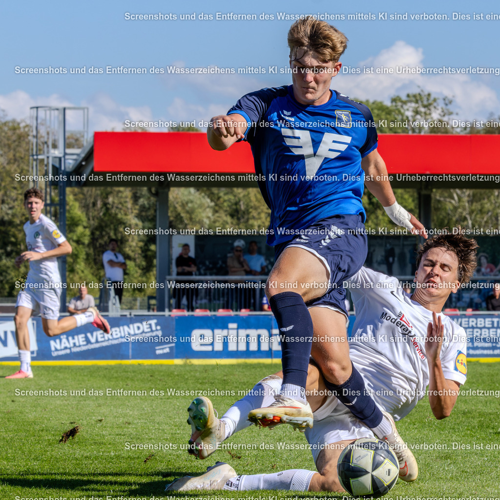 7K3A9327 | ÖFB Jugendregionalliga U16 - 4. Runde