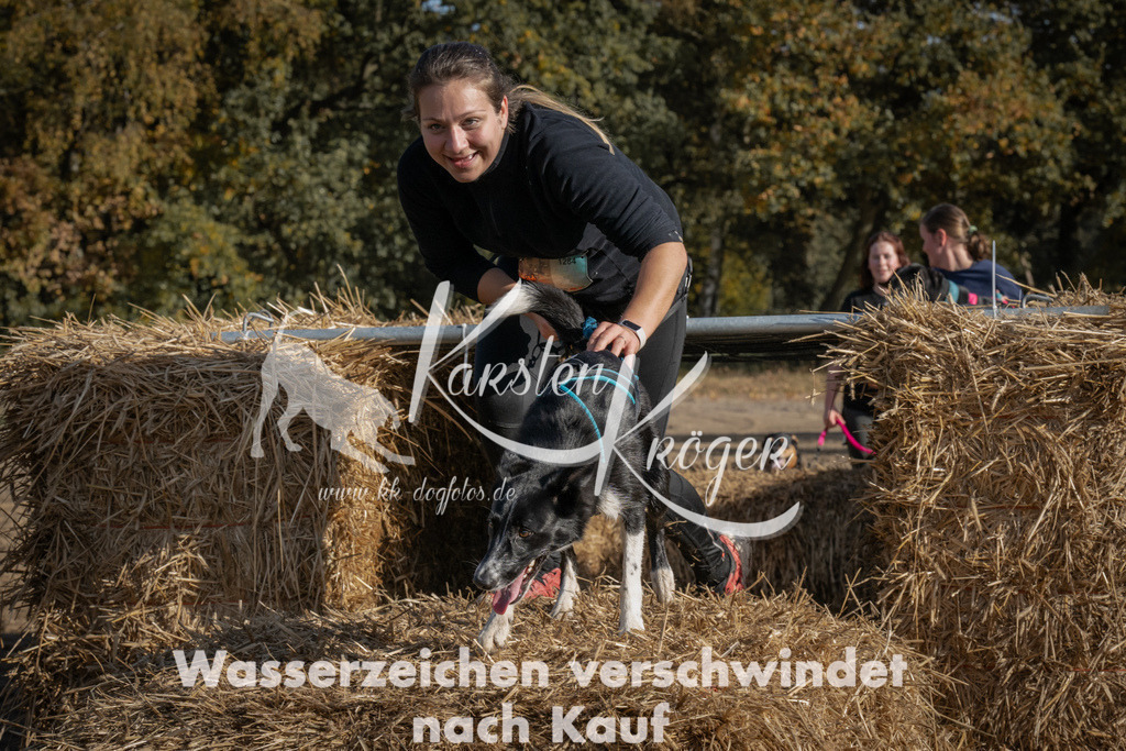 1119_ZZ90834 | kk-dogfotos