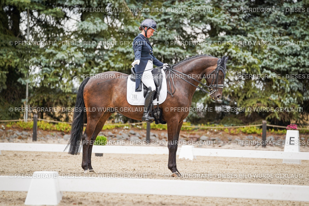 DSC07359 | Pferdegrafie