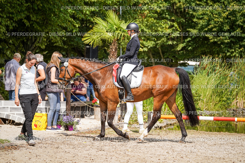 DSC02403 | Pferdegrafie