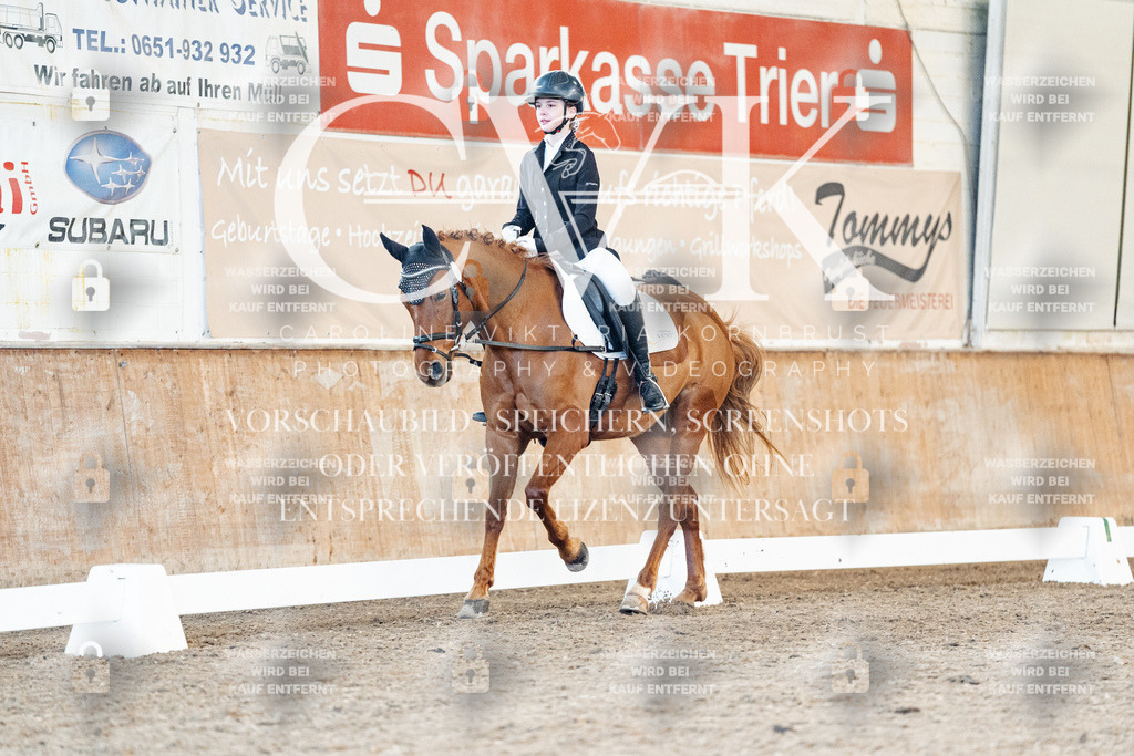 CK907906 | Turnierfotografie Pferdefotografie Trier Rheinland-Pfalz Pferdesport Reitsport Tierfotografie Sportfotografie Pferdevideo Pferdevideografie Equestrianvideography equestrianphotography  - Realisiert mit Pictrs.com
