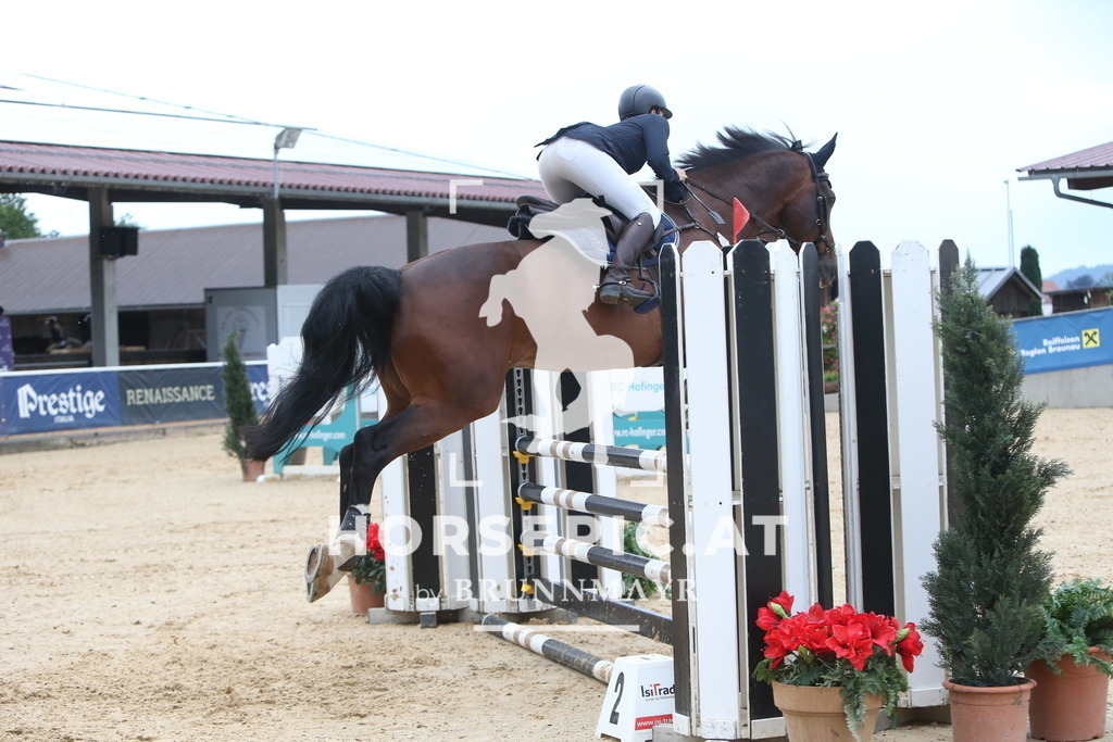 DL2Q4012 | Willkommen bei Brunnmayr - Design & Fotografie – Ihrem Spezialisten für Reitturniere und Pferdeveranstaltungen in Oberösterreich, Salzburg und Bayern! Seit über 17 Jahren sind wir leidenschaftlich dabei.