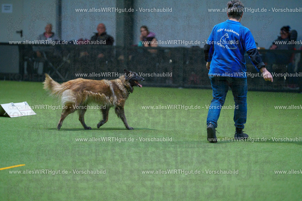 7R502542 | Professionelle Tierfotografie in Mönchengladbach von Daniel Wirth (allesWIRTHgut). Liebevolle & natürliche Bilder von Hunden & Katzen für unvergessliche Erinnerungen.