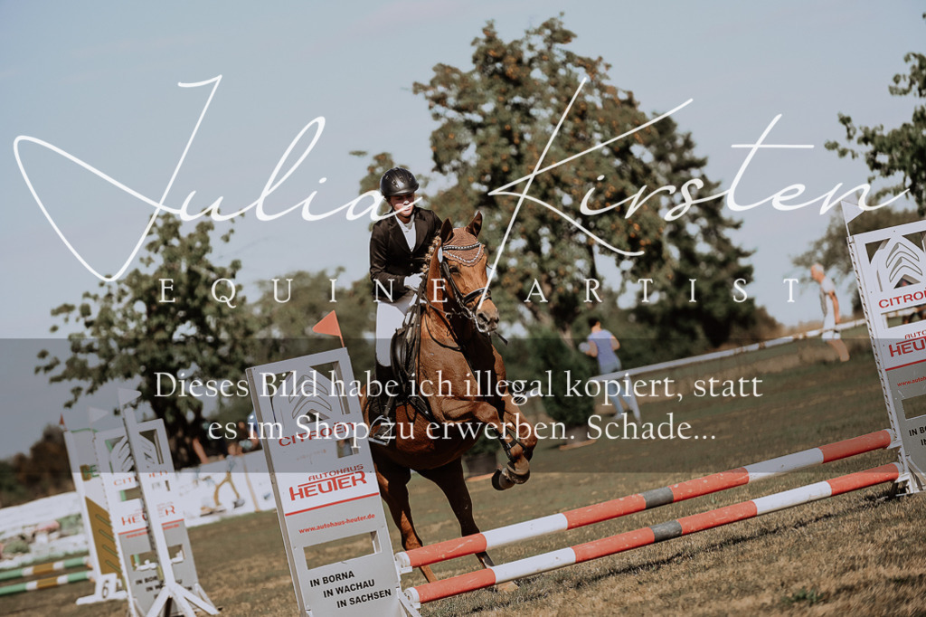 DSC_9325 | Pferde- und Turnierfotografie in Westsachsen. Pferdeportraits, Auftragszeichnungen und intuitive Kunst.
