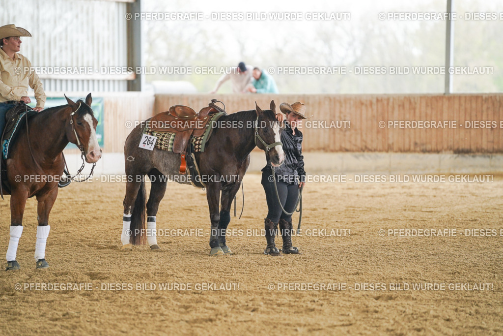 DSC07727 | Pferdegrafie