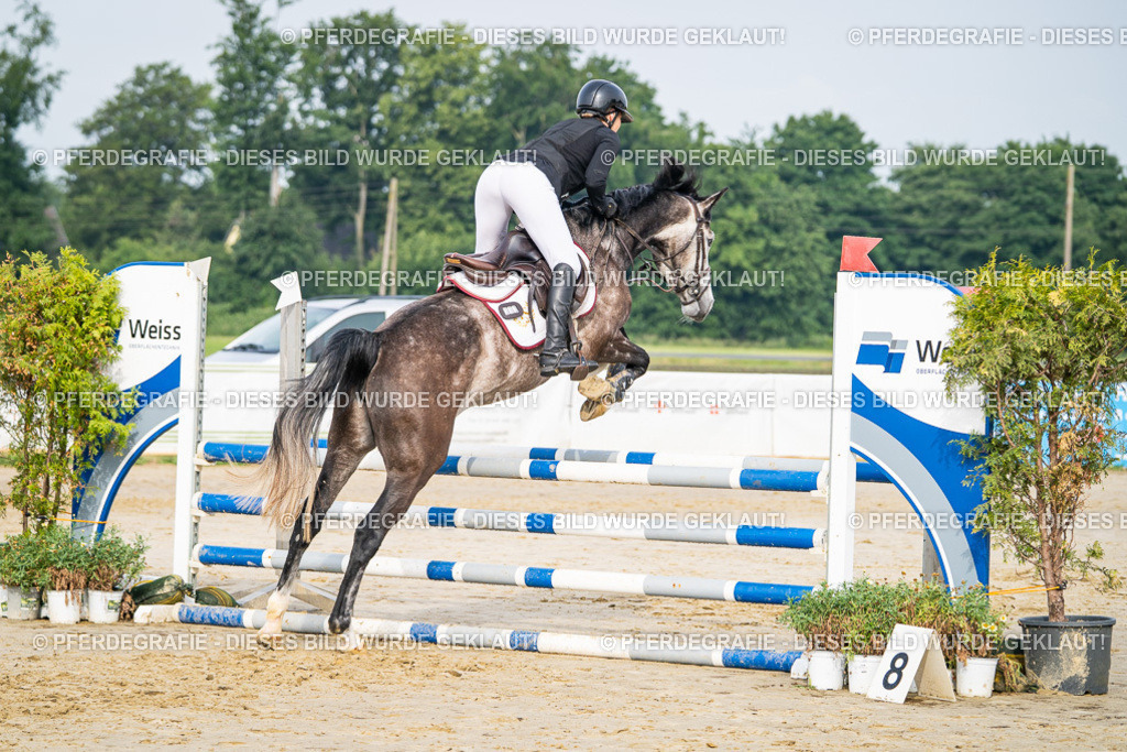 DSC09017 | Pferdegrafie