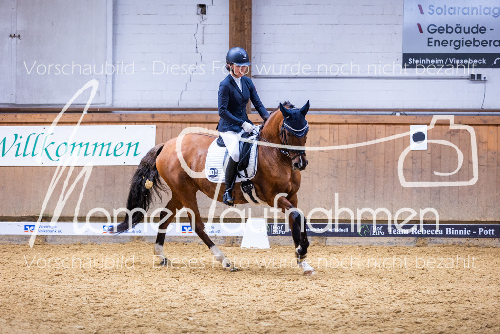 Sth-A-Dre-2St-223 | MomenTaufnahmen Pferdesportfotos