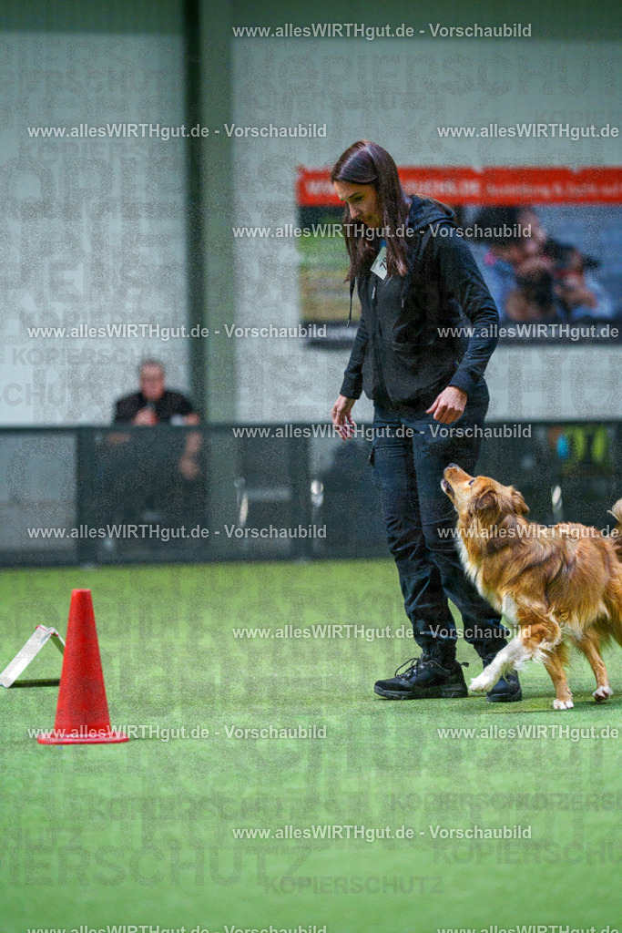 7R502952 | Professionelle Tierfotografie in Mönchengladbach von Daniel Wirth (allesWIRTHgut). Liebevolle & natürliche Bilder von Hunden & Katzen für unvergessliche Erinnerungen.