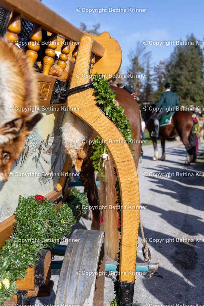 LBT24-1363 | foto-bettina-krinner - Realisiert mit Pictrs.com
