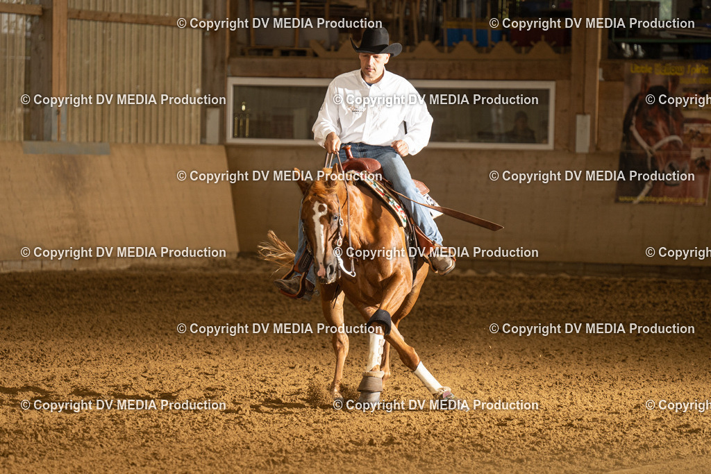 LAU00345 | dv-media-shop - Realisiert mit Pictrs.com